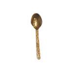 Spoon T-01 (usr)